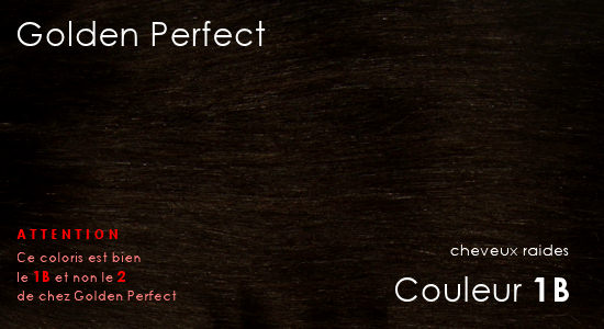 La couleur 1B de chez Golden Perfect