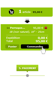 Lancement de la procédure du paiement en ligne