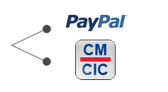 Les deux solutions de paiement en ligne (PayPal et CM-CIC)