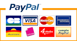 PayPal intégral incluant les règlements par cartes bancaires